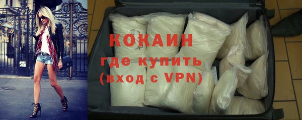 спайс Богданович