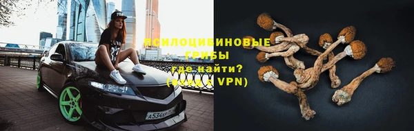 спайс Богданович