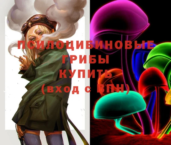 спайс Богданович