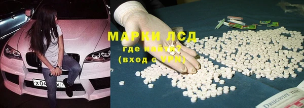 спайс Богданович