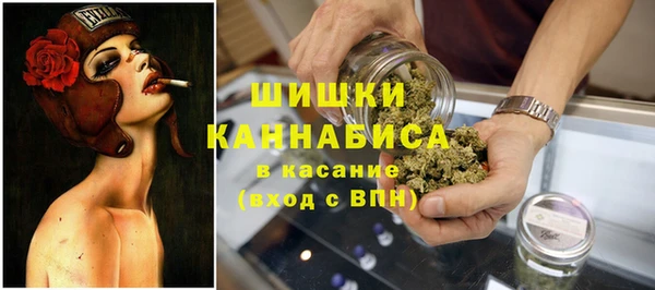 мескалин Богородицк