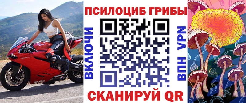 Галлюциногенные грибы прущие грибы  магазин продажи   Нарткала 